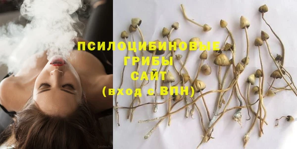не бодяженный Горнозаводск