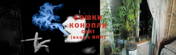 крисы Горно-Алтайск