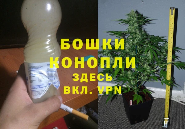 крисы Горно-Алтайск