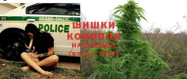 не бодяженный Горнозаводск
